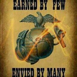 YanezLauro's profile picture. 