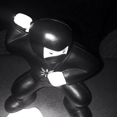 WingNinjaX's profile picture. How many Wing Ninjas are there? You'll never know.