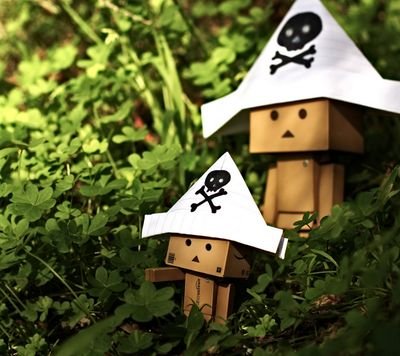 MisterMite's profile picture. Jeune mi- étudiant, mi- gamer, mi- coureur, mi- molette à plein temps. (Bon ca fait beaucoup de moitiés mais je suis beaucoup dans ma tête)