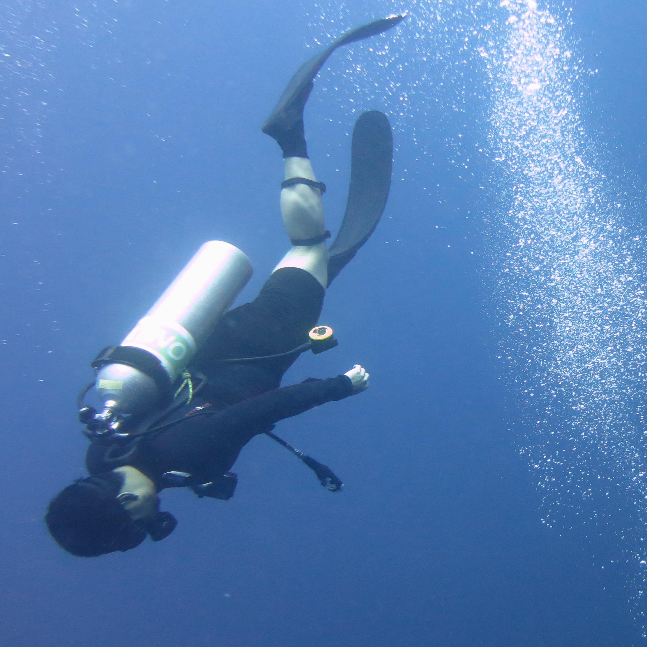 Travel Addict | ATHEIST | Mavericks fan | Digital Marketing Professional | Scuba diver | Mountaineer | Trivia Dude | Quack Doctor Extraordinaire |  INTARMED :)