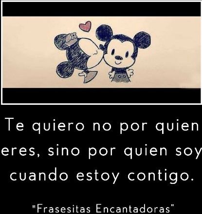 S.E.D.T. ♥