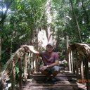 Noel Tuazon - @Noelnt61 - Twitter