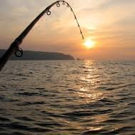 FishingRoadtrip's profile picture. Just some guys and their rods.