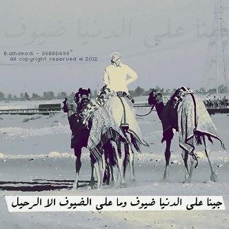 ‏‏..سبحان الله وبحمده سبحان الله العظيم..