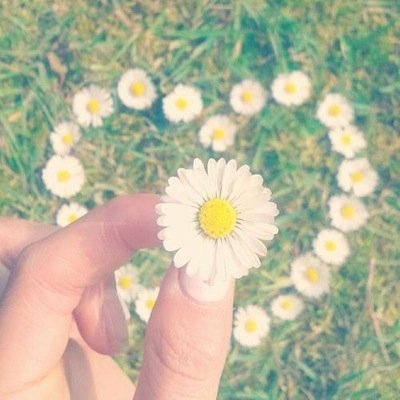 SibelBbdg's profile picture. Senin hayatını anlamlı kılan ne varsa, kim varsa sakın bırakma, sakın vazgeçme.