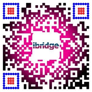 Across ibridgetech you will see a colorful world ..Professional seller of RC Cars, RC Helicopters,RC Quadcopters,RC Boats.