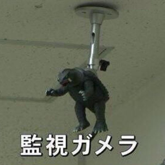 海パズルWTマークⅡセカンドさんのプロフィール画像