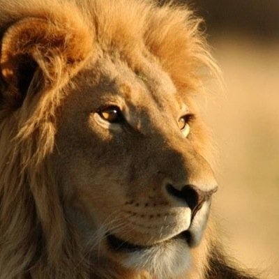 FreakyShab's profile picture. 