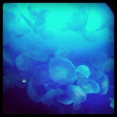 早くメルボルンに行きたい