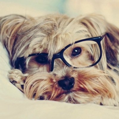 LeishDunne's profile picture. 