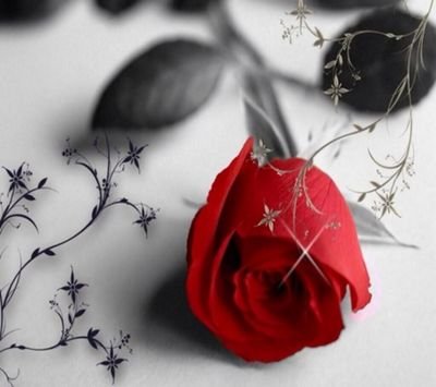 أدٍآريَ ......عٌبًآدٍآلَلَهّ وٌجّآمًلَهّآ ‏