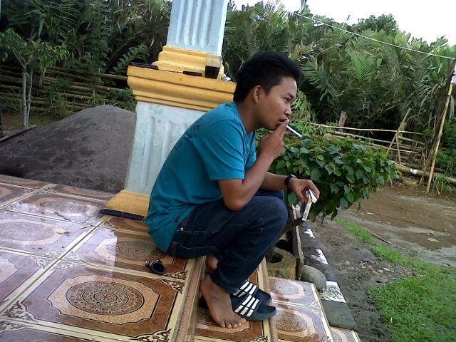 FebriAriadi's profile picture. 