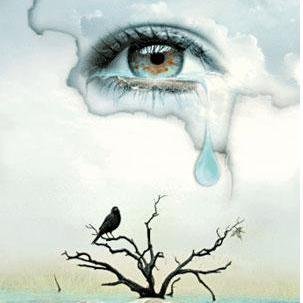 safling's profile picture. 