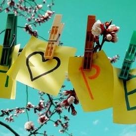 HOPE_BIJOU's profile picture. Bijou + Color + Tendencias + Moda
http://t.co/khBVpNqe8U