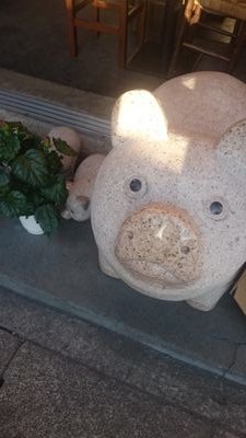 京都・森見登美彦