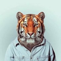 Tig (@tgrefc) 's Twitter Profile