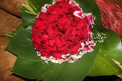 amina__saif's profile picture. insta: amina_saif 
 ❤اللهم إن كنت أنا القادم أحسن خاتمتي وثبتني عند السؤال♡