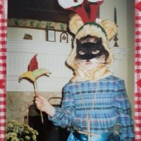 Emily Doyle (@old_bort) 's Twitter Profile