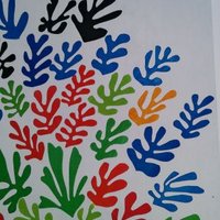 Dr Ann Lendrum (@annielendrum) 's Twitter Profile