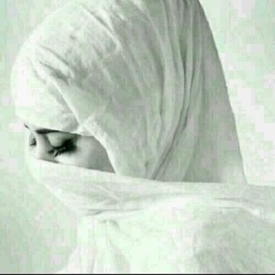 ماني بنت شمر ولاني من العداوين حتى عرق مطير ماني بحولهه فيني شموخ الخيل ومعاند الزين يعني شموخ حربيه منهو يطولهه الخــاص لــتــبــادل بس
