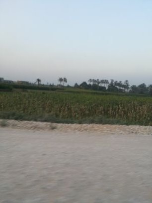 ‏‏جدة     519C4386