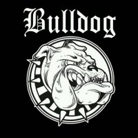 Coca Bulldog Store (@bulldogstore666) 's Twitter Profile Photo Coca Bulldog Store (@bulldogstore666) 's Twitter Profile Photo
