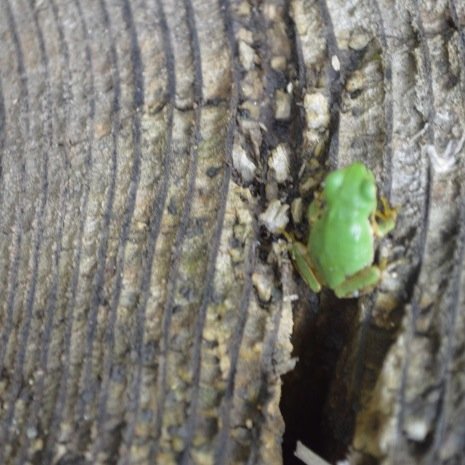 japanfarmbank's profile picture. 九州の農産物の直送や直売の情報をお届けしています。