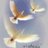 Nafla_AlHerbesh's profile image