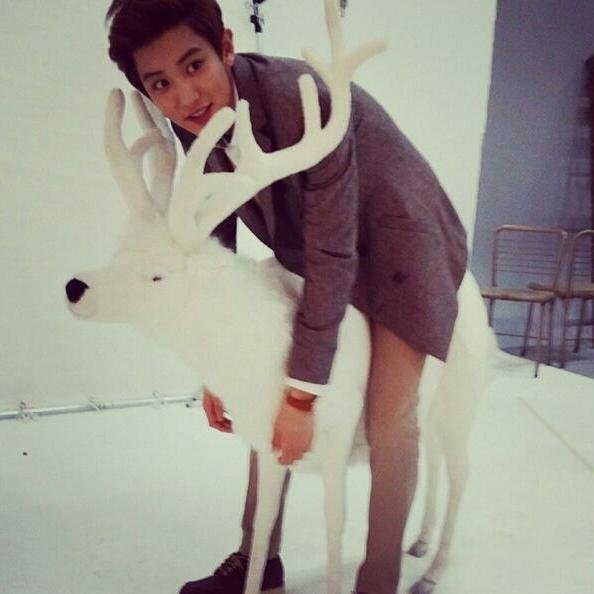 this is just an account for when i'm jailed Real account: @senshinedeer