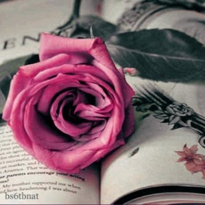 ياصديقتي❤️ 
أنت وحدك ❤️
 حينما أجلس معها❤️
 أشعرأني بحضن السماء  ❤️  ❤️