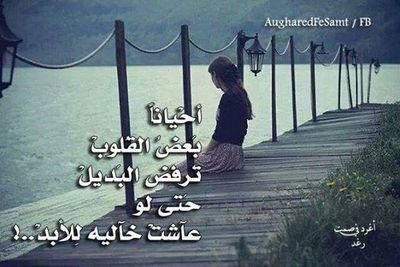 لوكانت الرجوله باالصوت العالي ﻻاصبح الكلب سيدالرجال