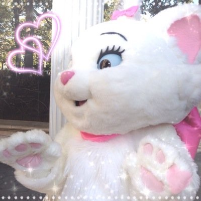 Be Happy！✩°｡⋆⸜(ू｡•ω•｡) ♡♡
