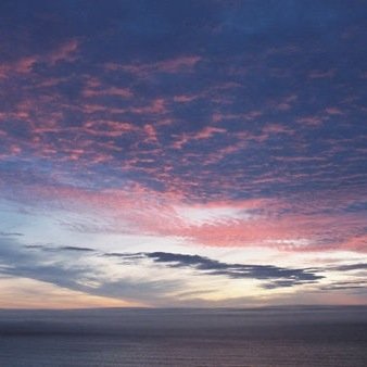 flightkelly's profile picture. bravo my life ! # being me # 배구 무한사랑 # Kovo #한국 전력 kepco 팬 #서재덕