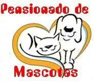 Cuidamos mascotas en nuestro hogar, con la calidez que tienen en la tuya, mientras estas ausente.