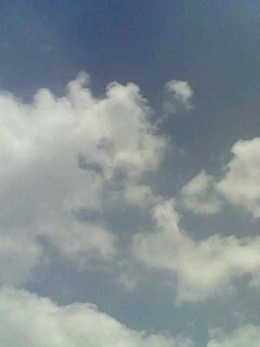 X18811032's profile picture. 