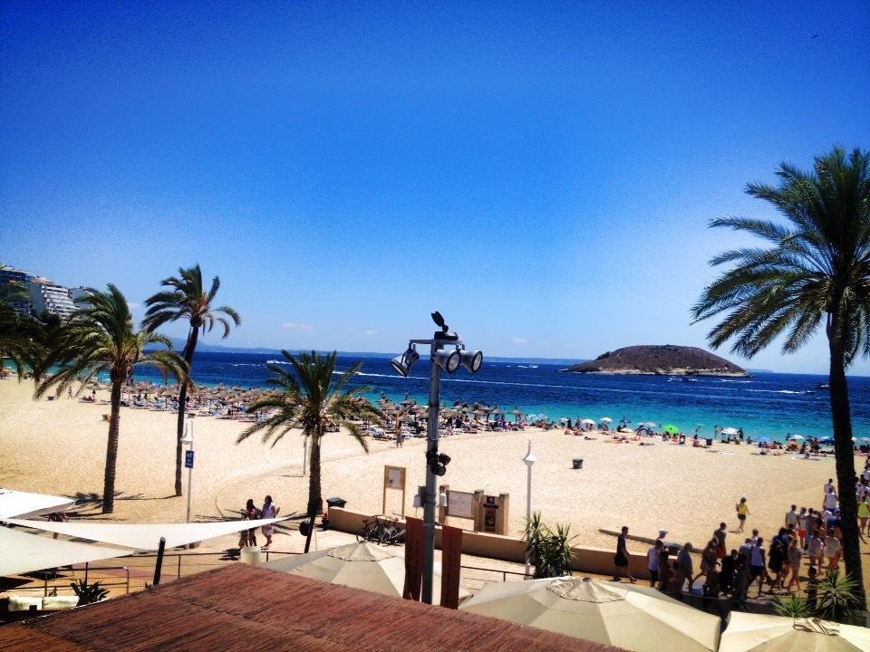 Maga_Assemble's profile picture. Magaluf'n number 1 company helping first timers with accommodation and jobs