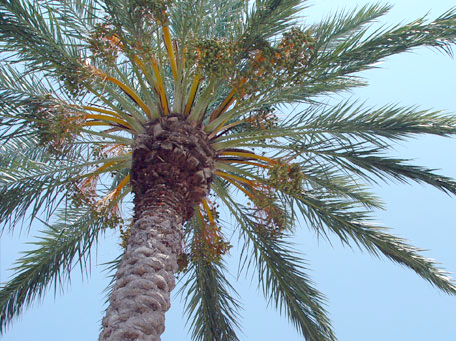 BrookeNoahTeam's profile picture. I love the color pink. I play soccer, and Im starting a group for going green. I support Brooke Scher, Noah Cyrus, Miley, Demi, Selena, Ellis, and tons more! :)