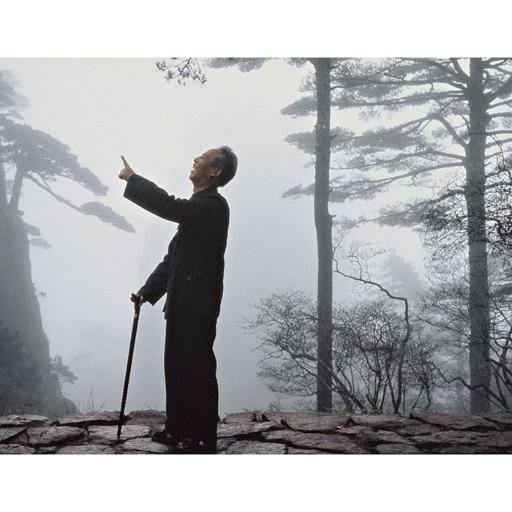 WasmerHelmut's profile picture. 