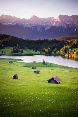 ﴿أَلَم تَرَ كَيفَ ضَرَبَ اللَّهُ مَثَلًا كَلِمَةً طَيِّبَةً كَشَجَرَةٍ طَيِّبَةٍ أَصلُها ثابِتٌ وَفَرعُها فِي السَّماءِ﴾