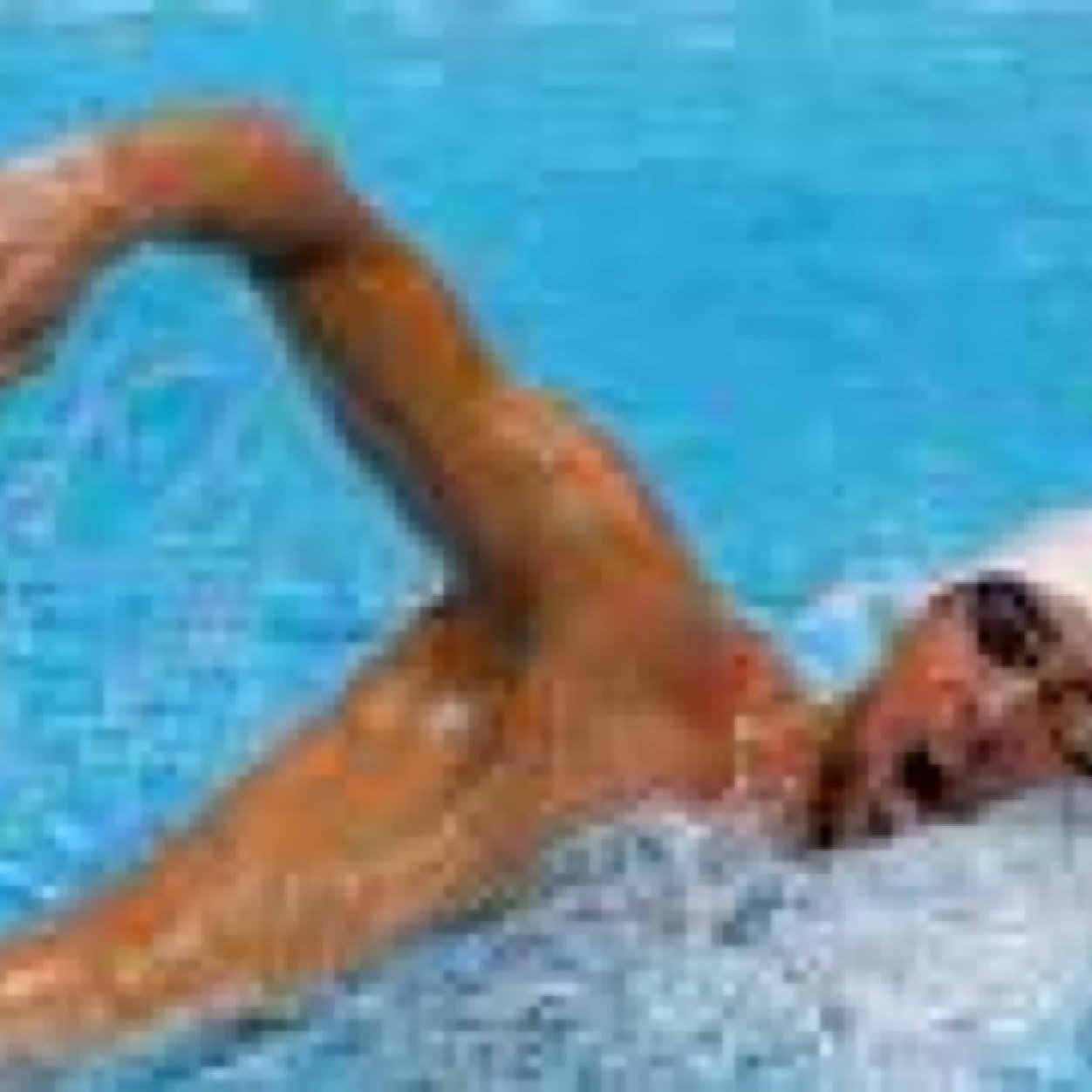 Ratchet tweets about swimming and the thots that do it. Snap chat me if you think you've found a true aquathot in its natural habitat.