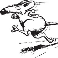 BUDE RATS (@buderats) 's Twitter Profile