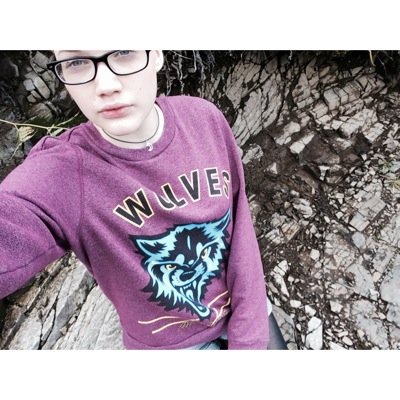 wolves