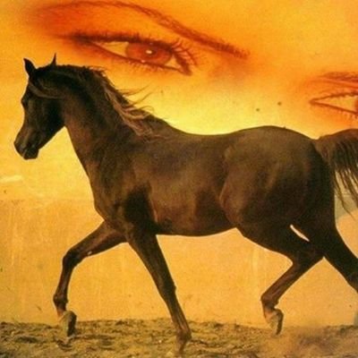 menira2002's profile picture. 