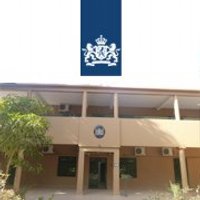 NLinSudan (@nlinsudan) 's Twitter Profile