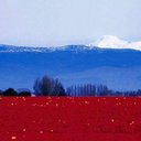 Ray Gregory - @RayGregory1981 - Twitter