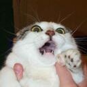 April Groves - @Aiden_Tyler - Twitter