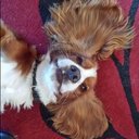 Jerry Wayne Fortner, - @fjerry1958 - Twitter