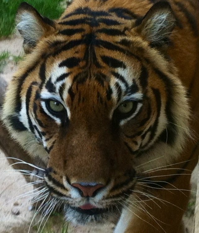 bardi373's profile picture. 