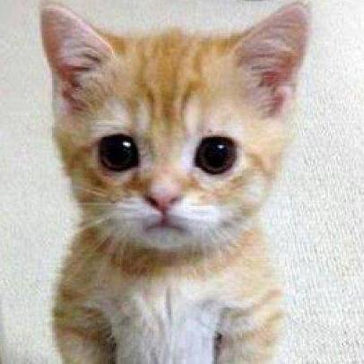 top1popular's profile picture. 