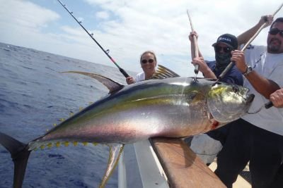 Truest88fan's profile picture. 